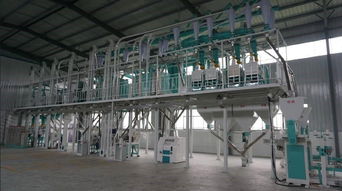 深耕行业，规模制胜 如何选择优秀的玉米加工成套设备生产商